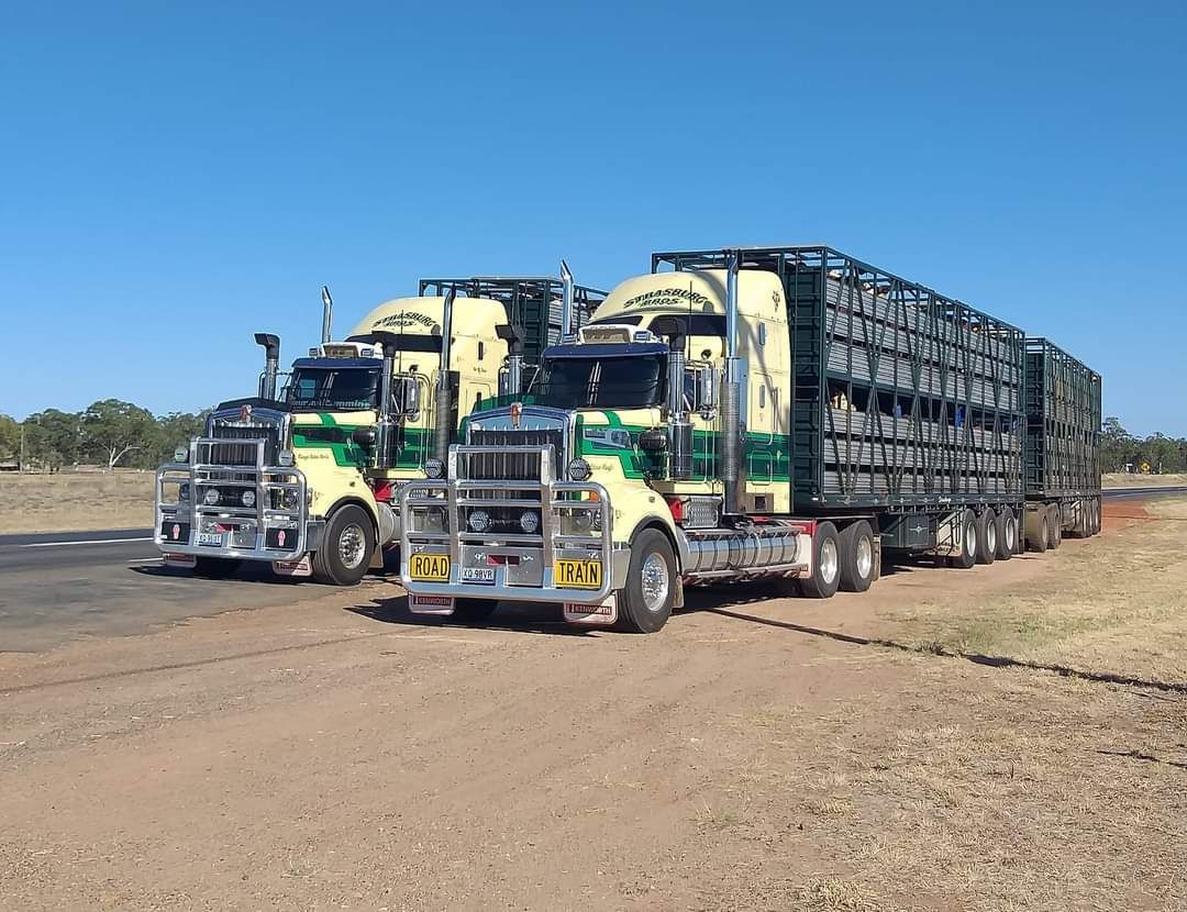 transport services