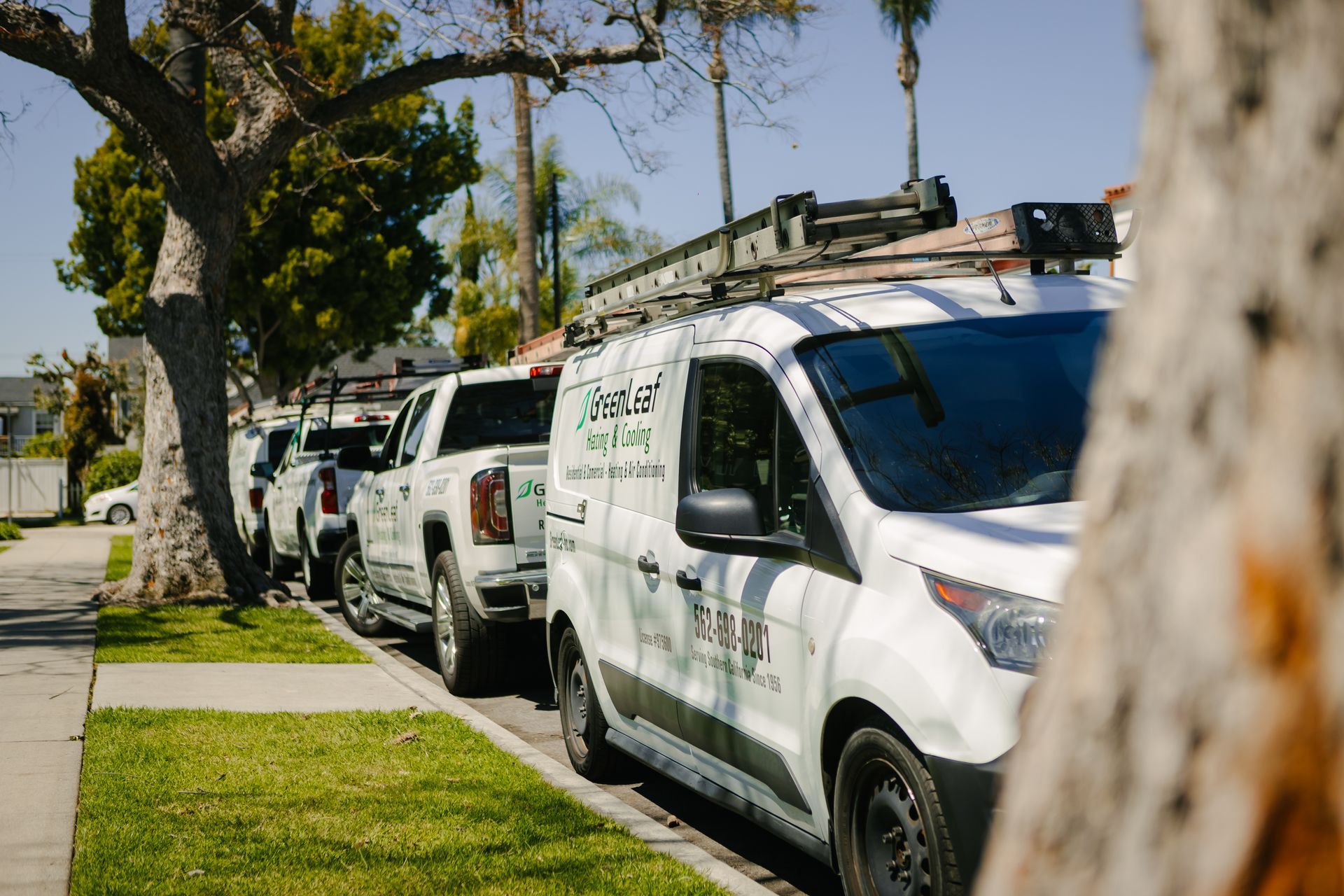 A line of white work vans parked along a sidewalk next to a tree-lined street on a sunny day.
