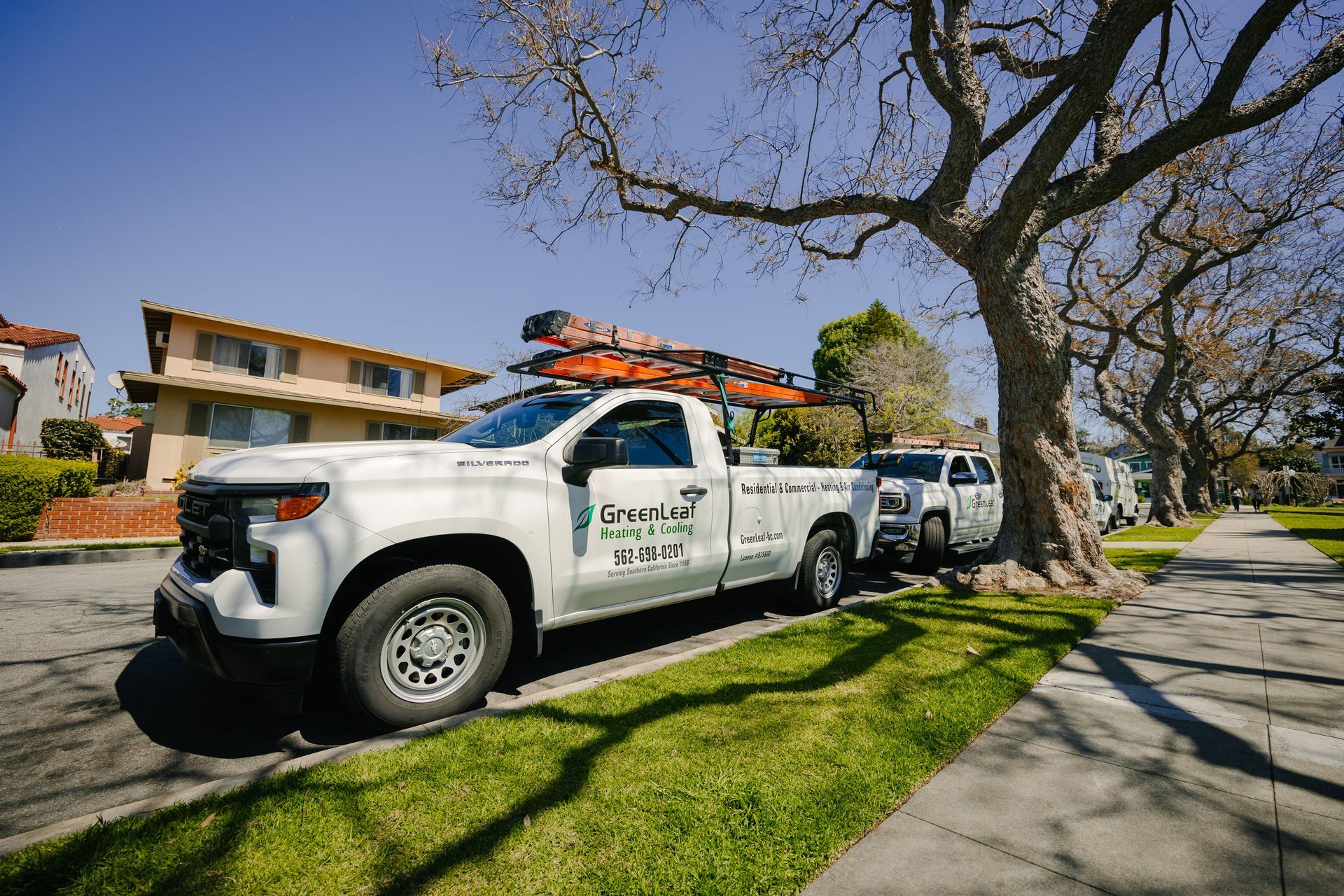 A white truck is parked on the side of the road next to a tree.