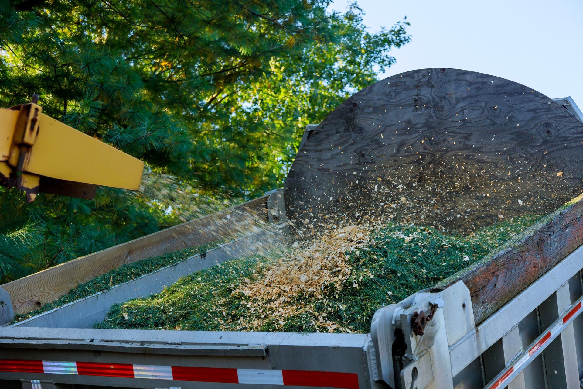 A large pile of wood chips is being loaded into a dumpster.