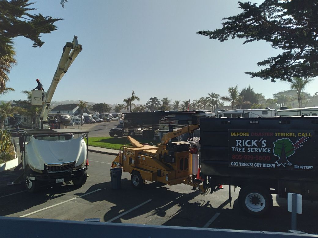 A Rick 's tree service truck is parked on the side of the road