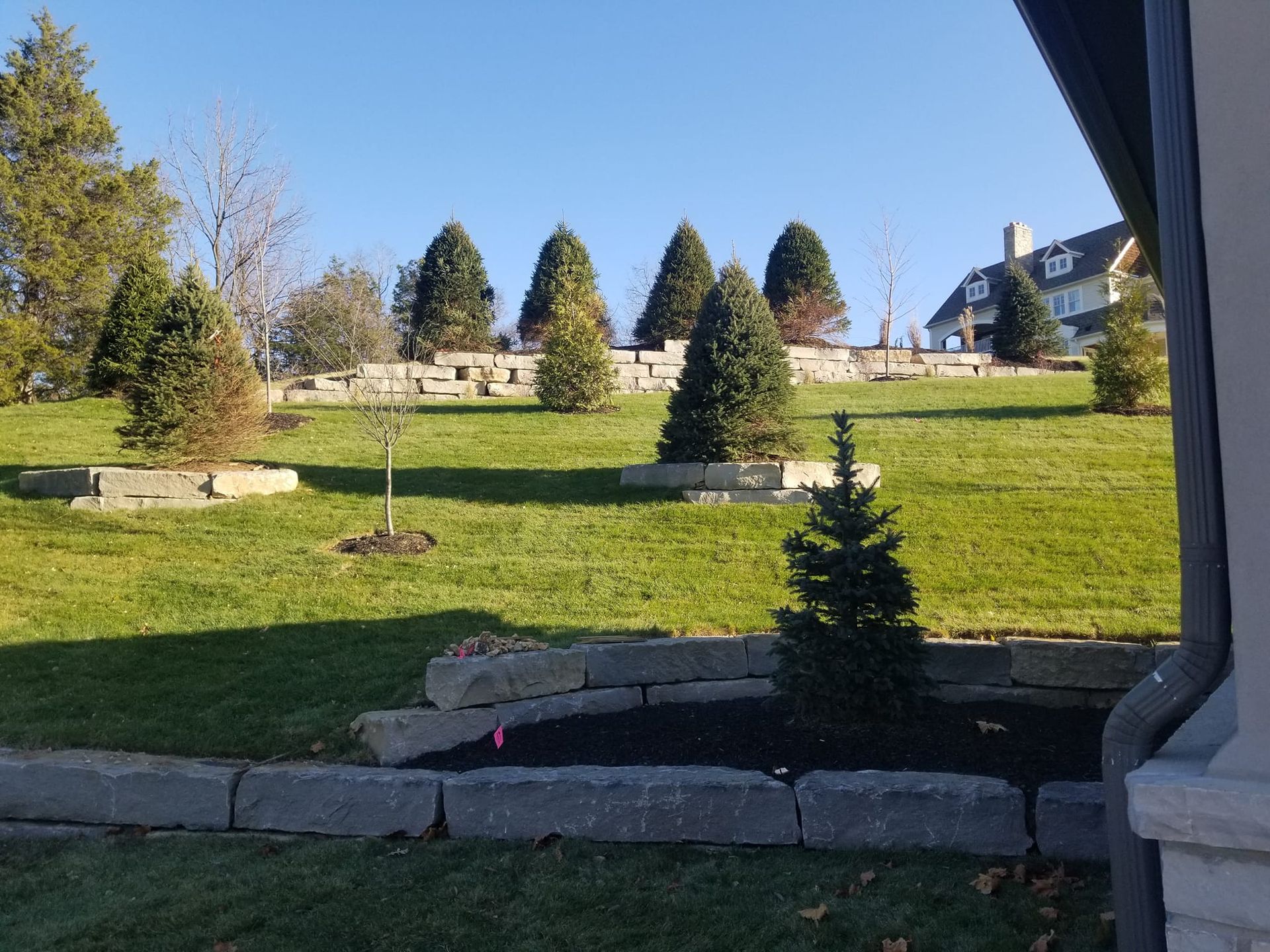 A sloped yard with tiered retaining walls and evergreen trees. A house is visible in the background under a clear blue sky.