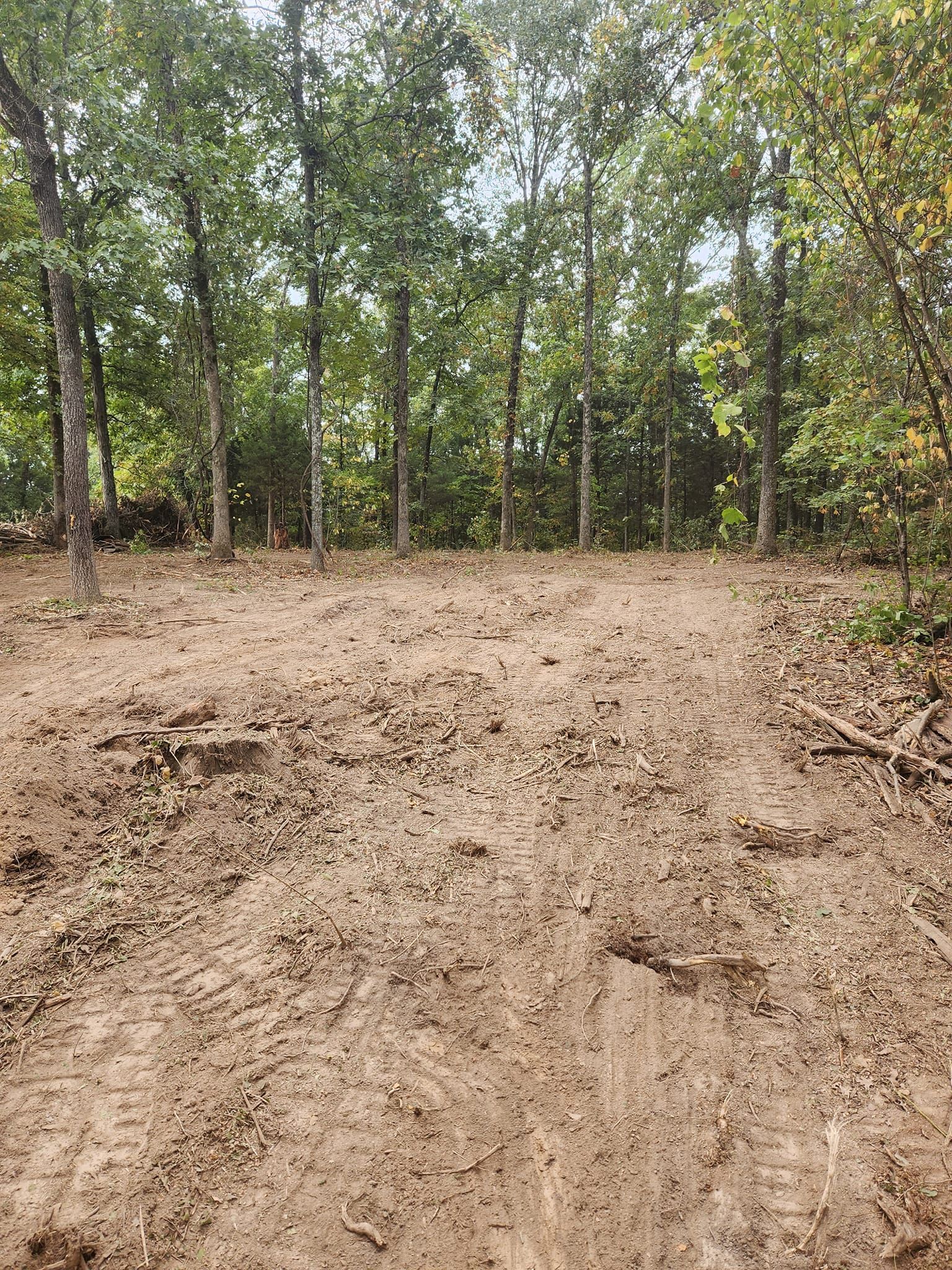 A muddy, cleared area in a forest, in front of a line of trees.