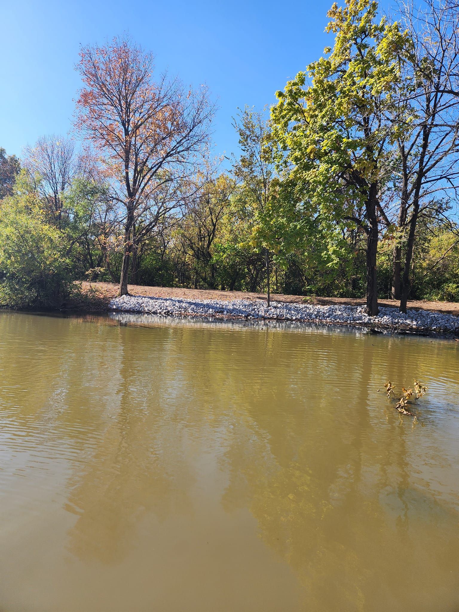 A pond with a rocky shoreline, trees with fall foliage, and a blue sky.