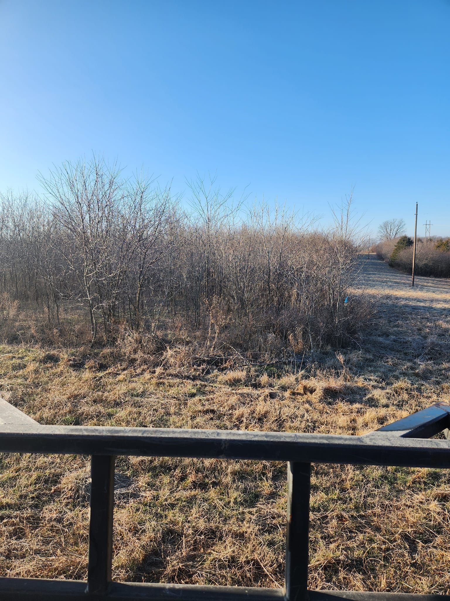 A sunny outdoor scene featuring a brown field, a dense bush, and a clear blue sky, viewed from behind a dark railing.