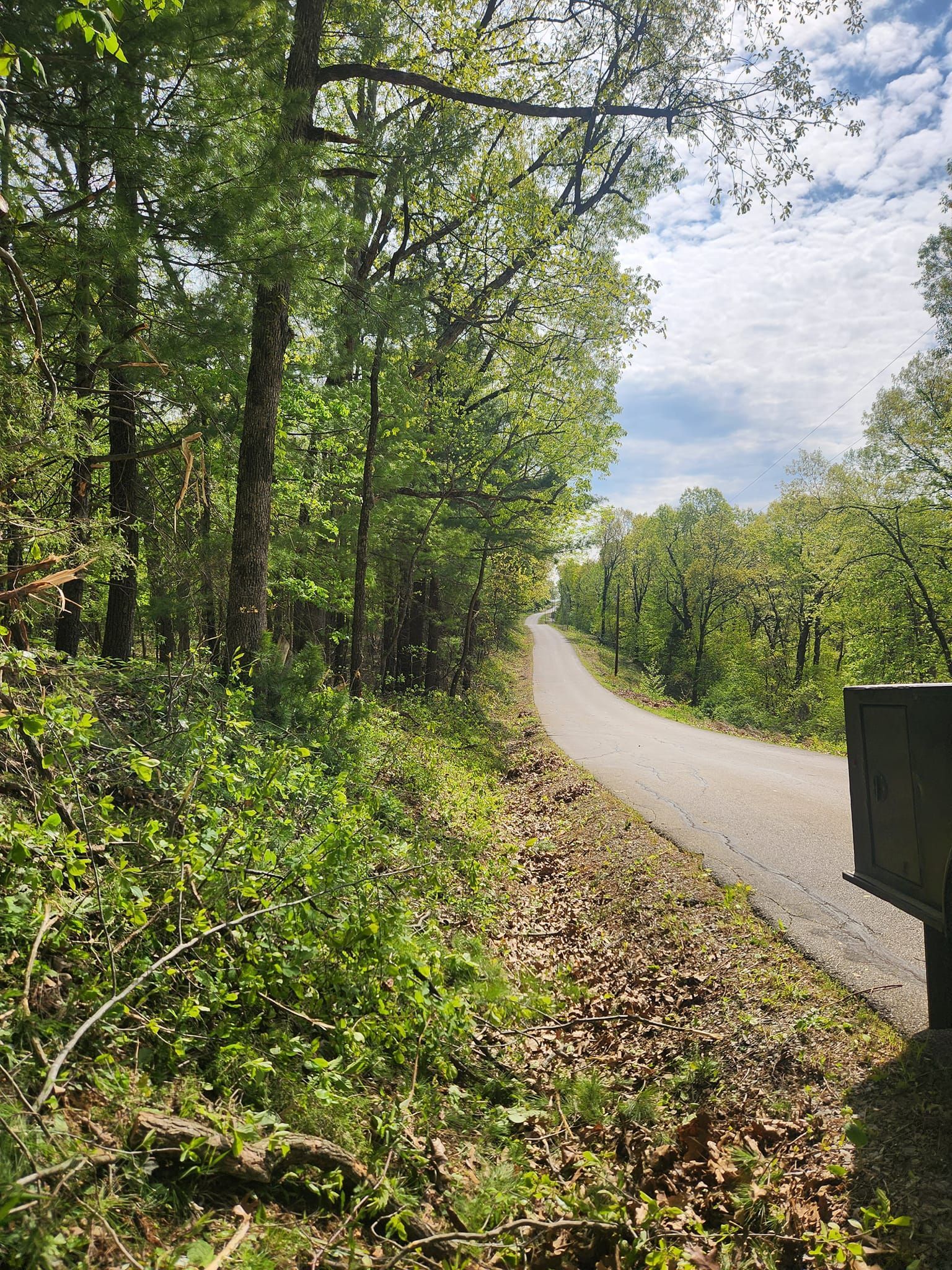 A paved pathway winds through a lush, green forest under a partly cloudy sky. Sunlight filters through the leaves.