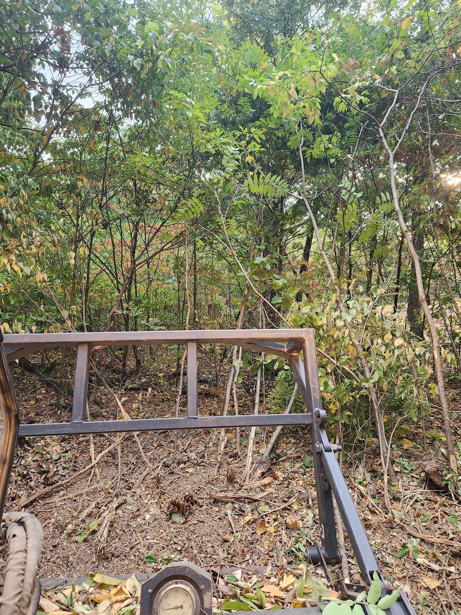 A metal structure sits in front of a forest. The structure is gray, and the forest is filled with green and brown trees.
