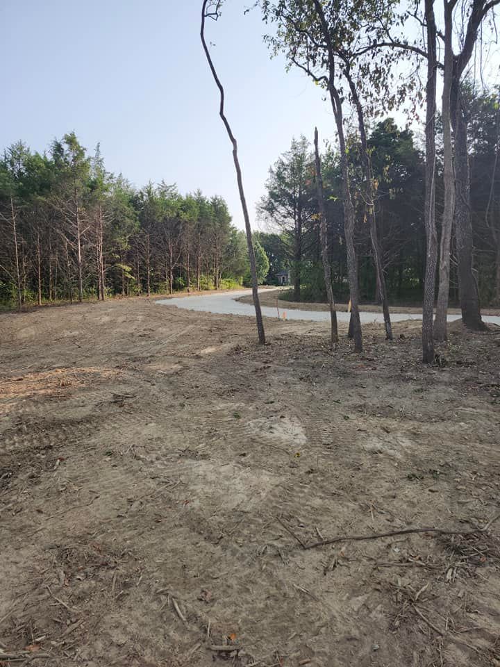 A dirt clearing with trees on both sides, a road curving in the distance, and a clear blue sky.