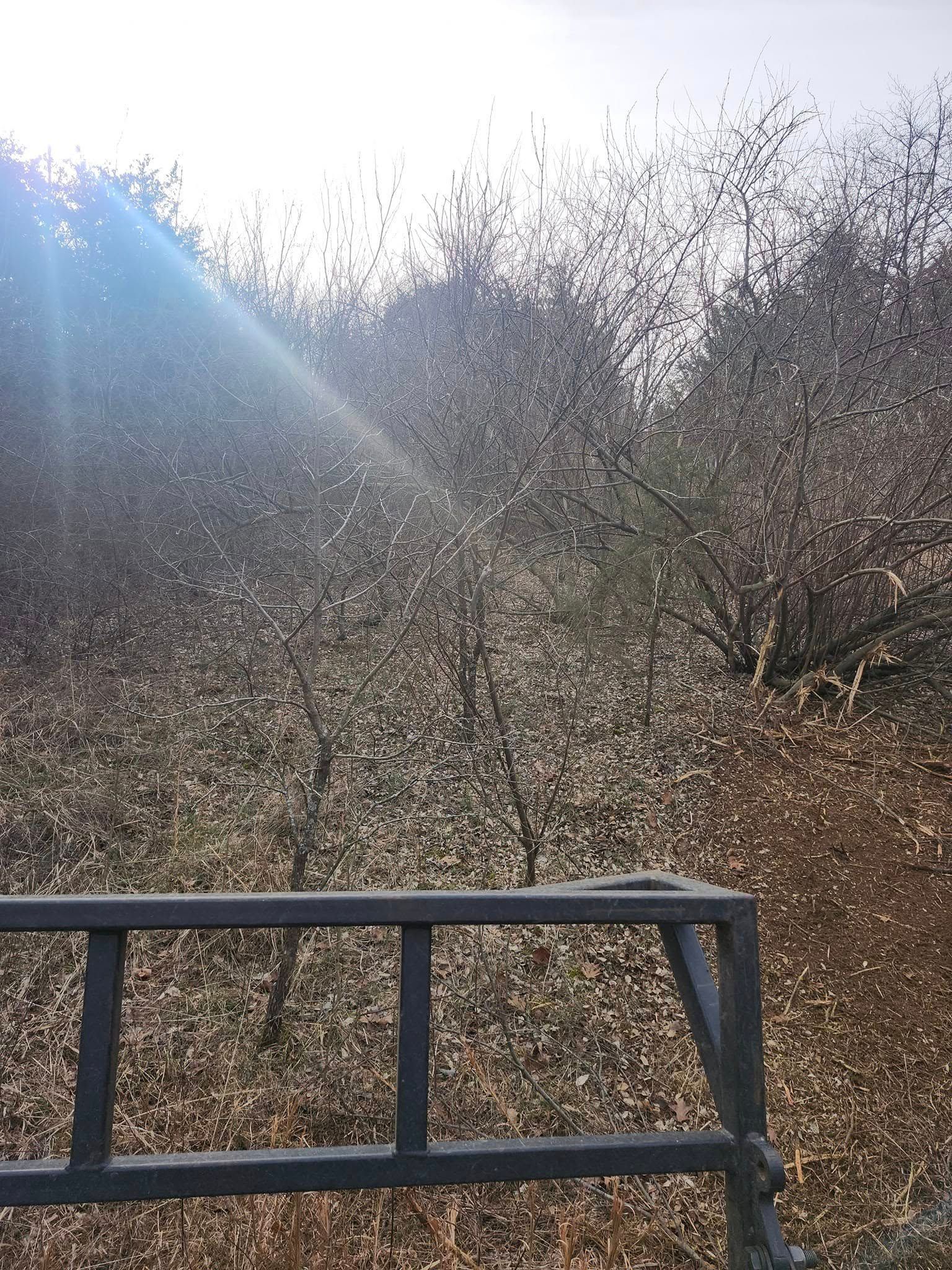 A metal railing in the foreground with flowering trees on a sunny hillside in the background.