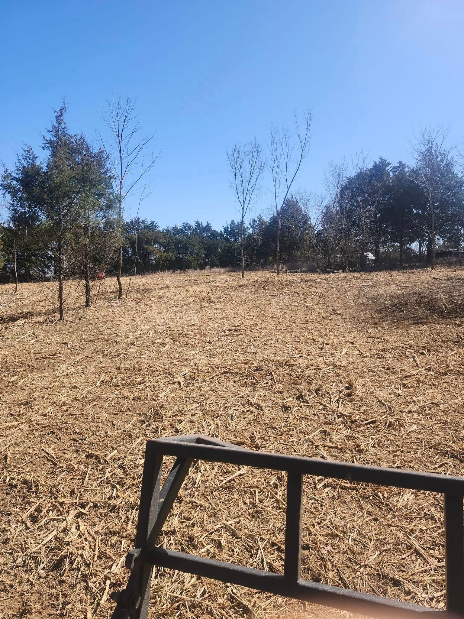 A field of brown mulch with sparse trees under a clear blue sky. A black metal structure is in the foreground.