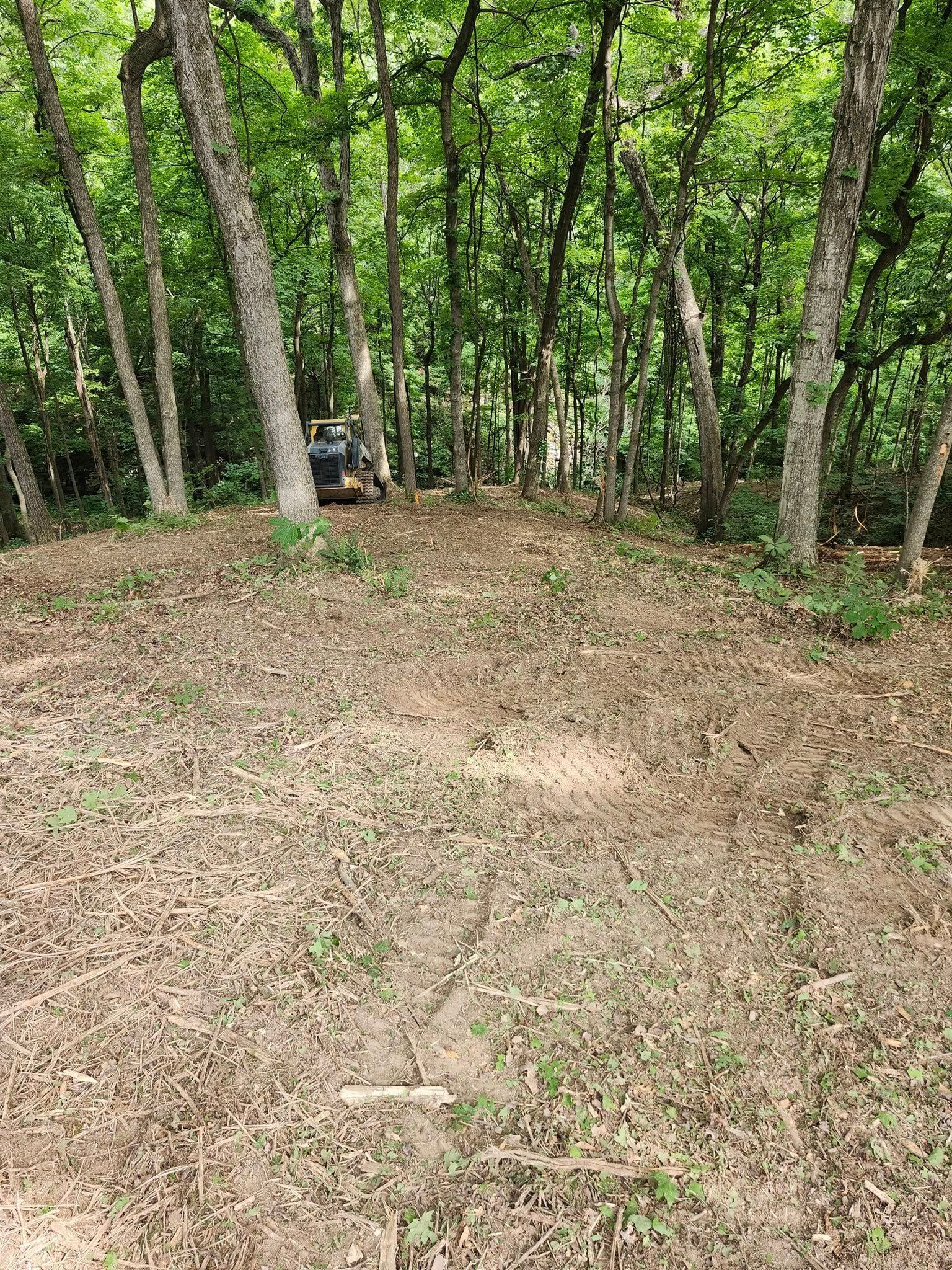 A clearing in a forest with a small vehicle visible in the distance. The foreground is dirt and dry grass.