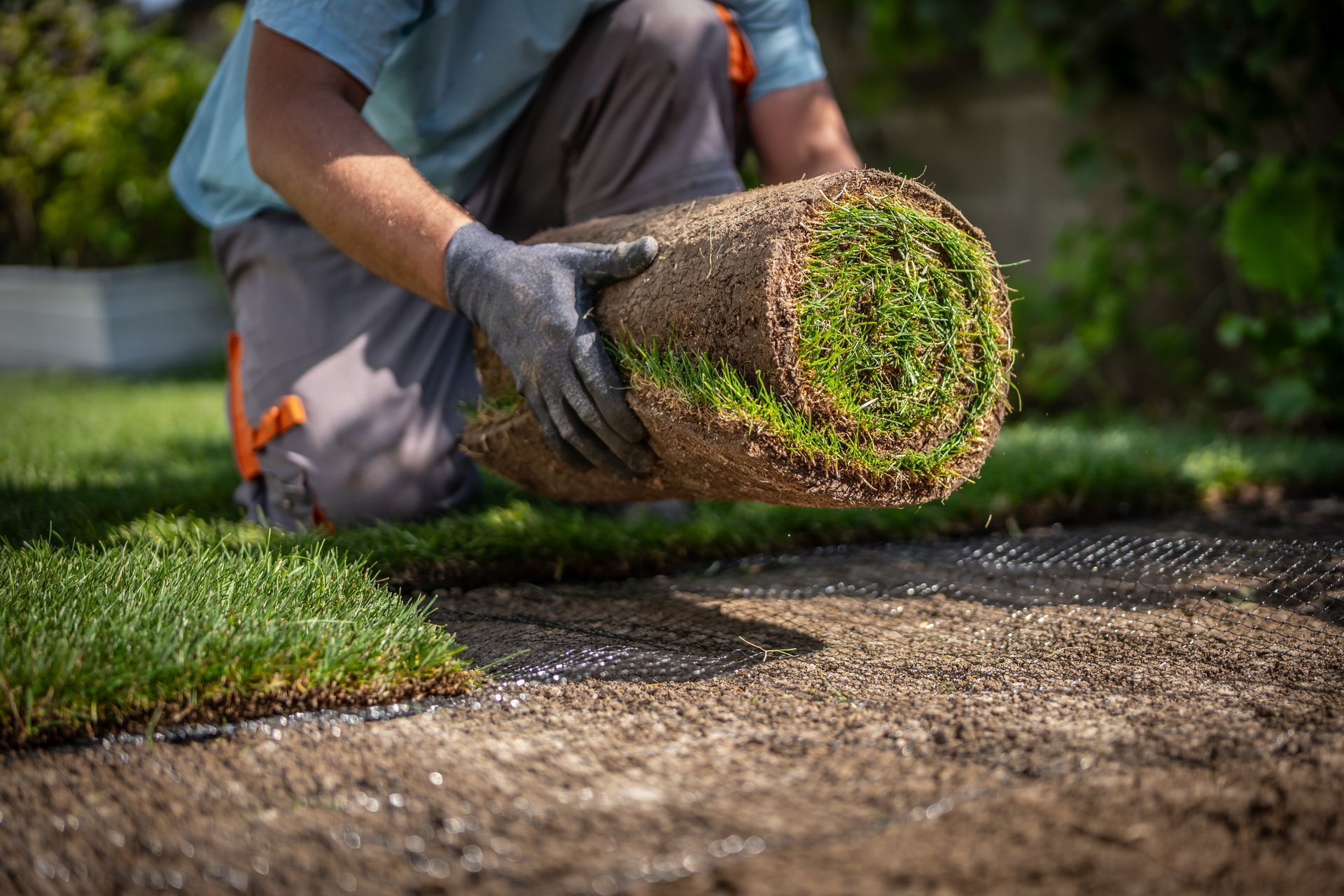 Worker laying a rolled strip of sod onto a dirt path beside fresh grass