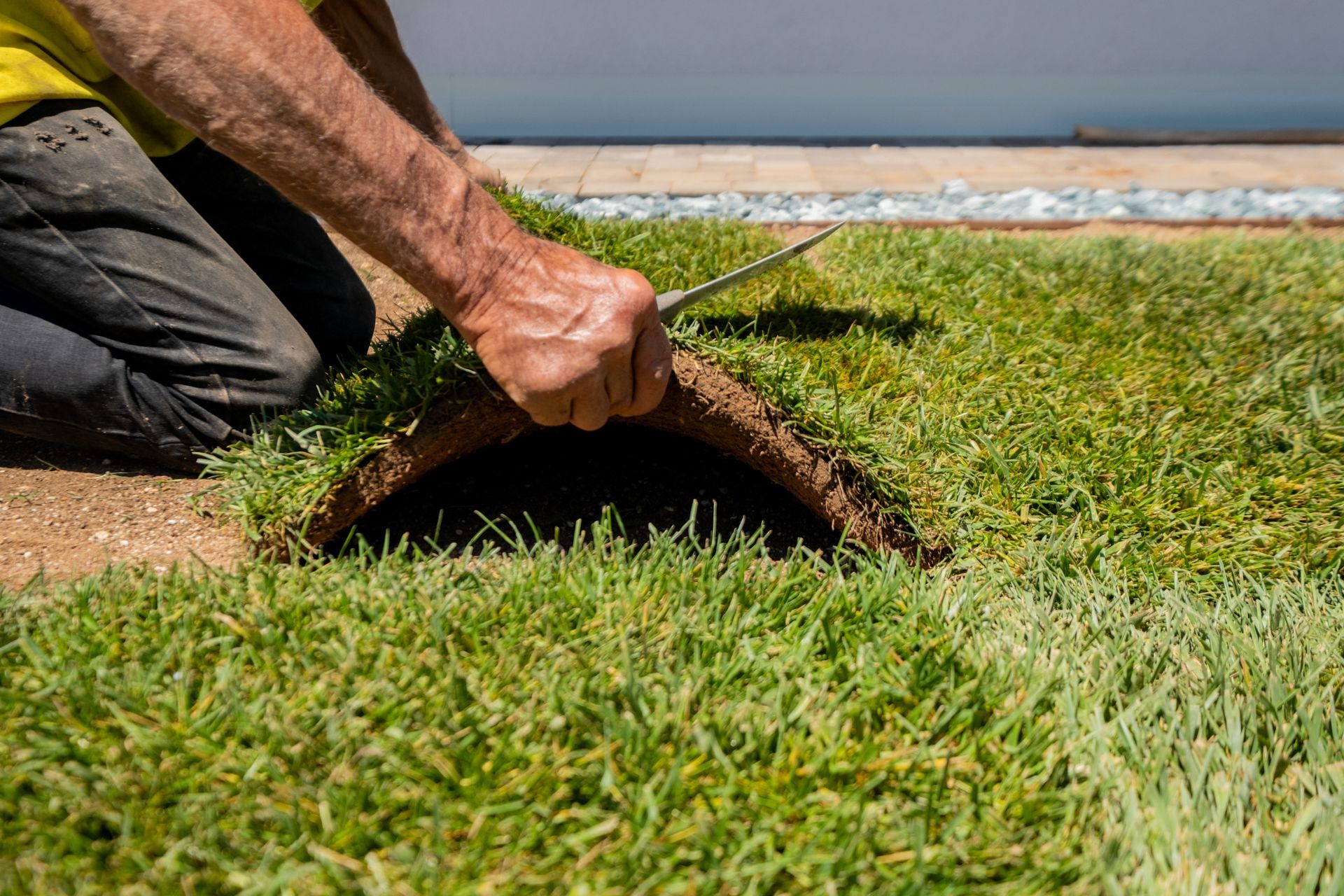 Person lifting a patch of grass to inspect a hole in the lawn