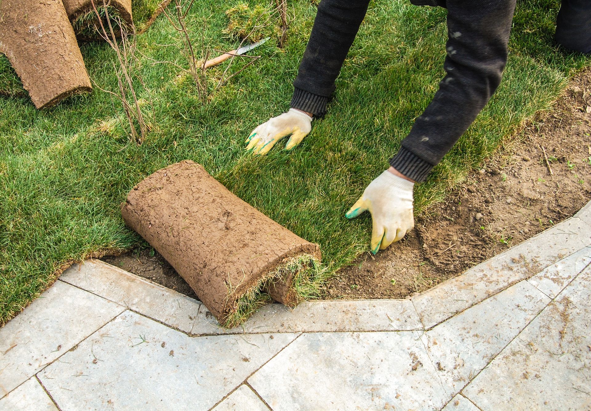Gloved hands laying a rolled strip of sod along a lawn edge beside paving stones