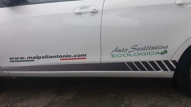 Portellone bianco del furgone con adesivi