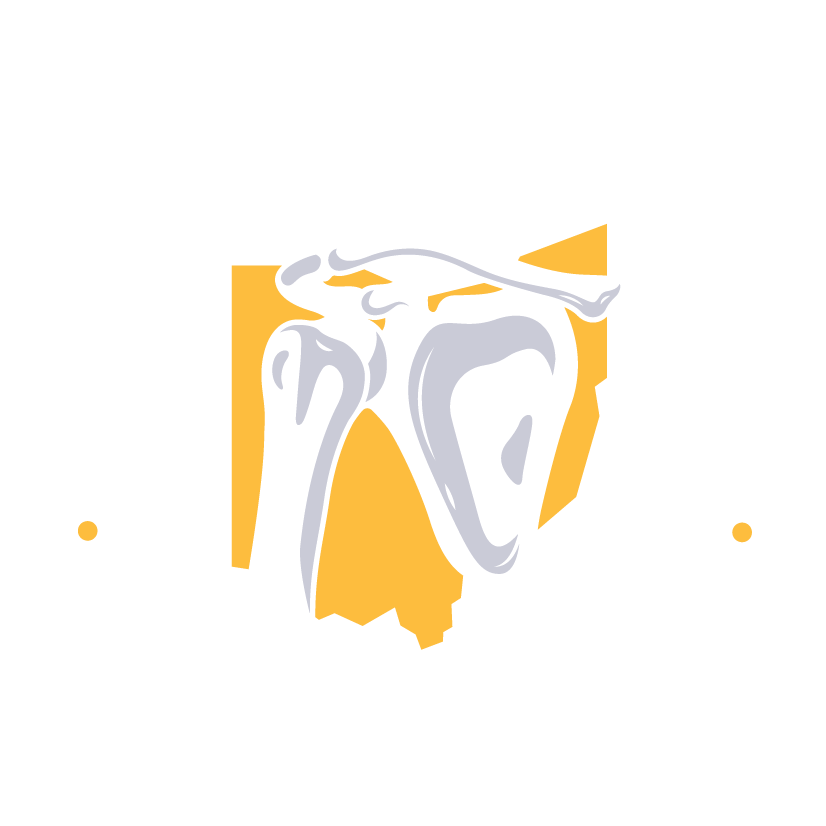 Northeast Ohio Shoulder logo.