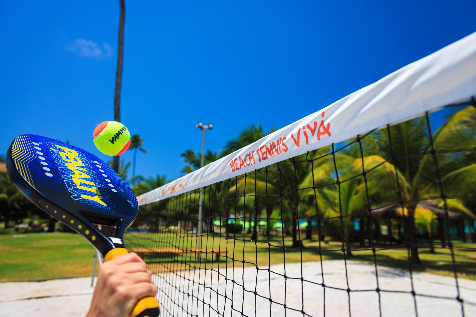 Uma pessoa está segurando uma raquete e uma bola de tênis em frente a uma rede de vôlei.