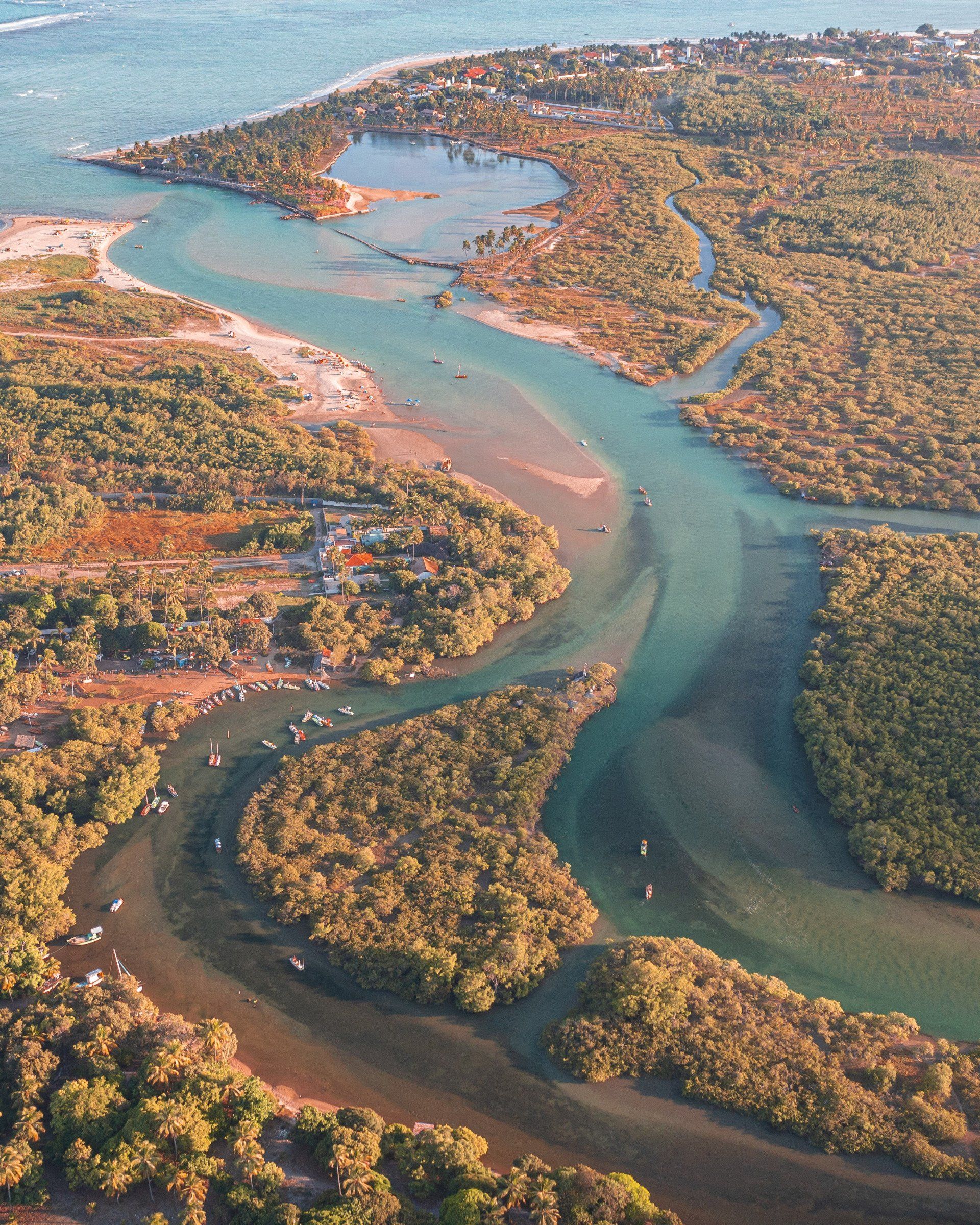 Uma vista aérea de um rio cercado por árvores e água