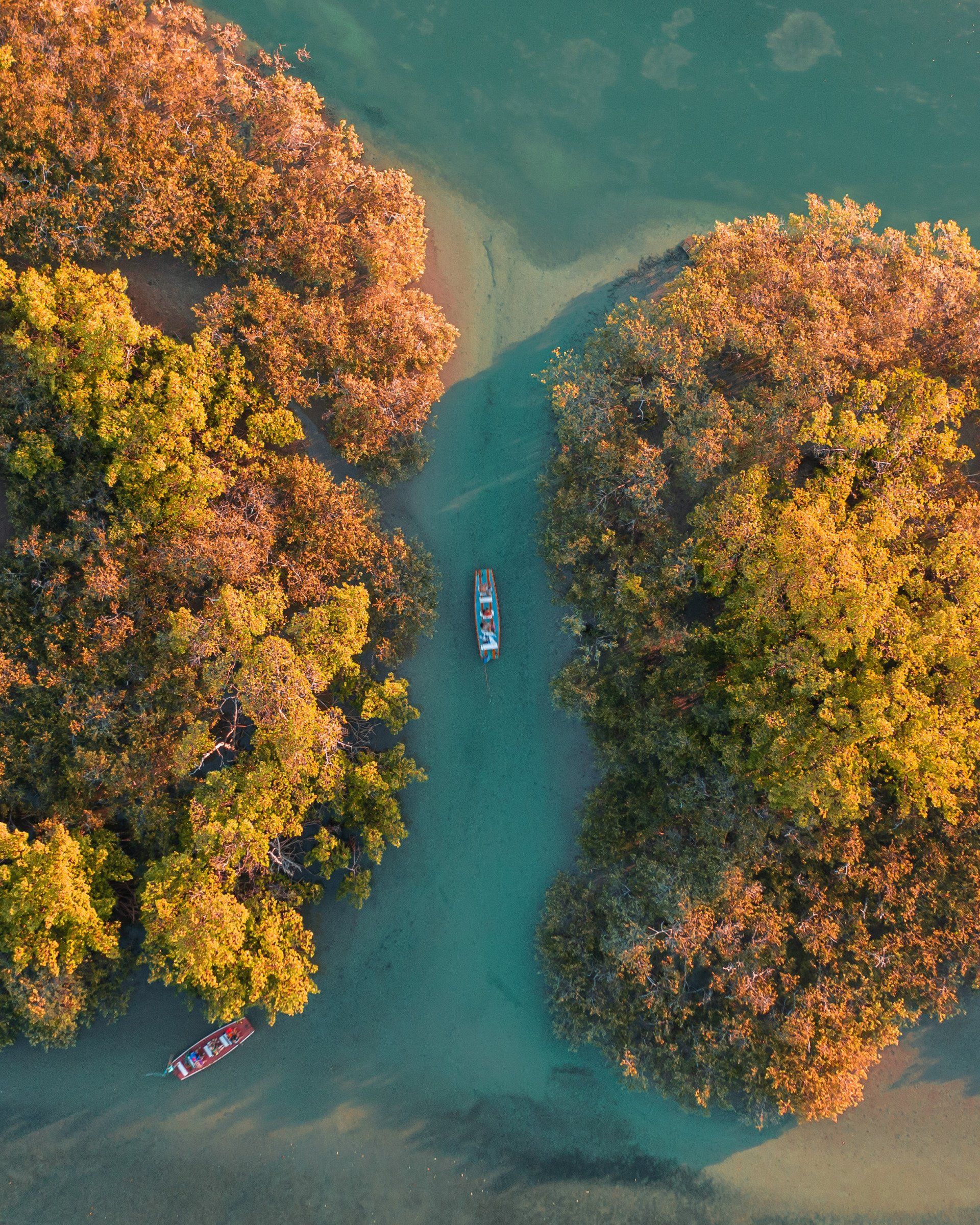 Uma vista aérea de um barco no meio de um rio cercado por árvores.