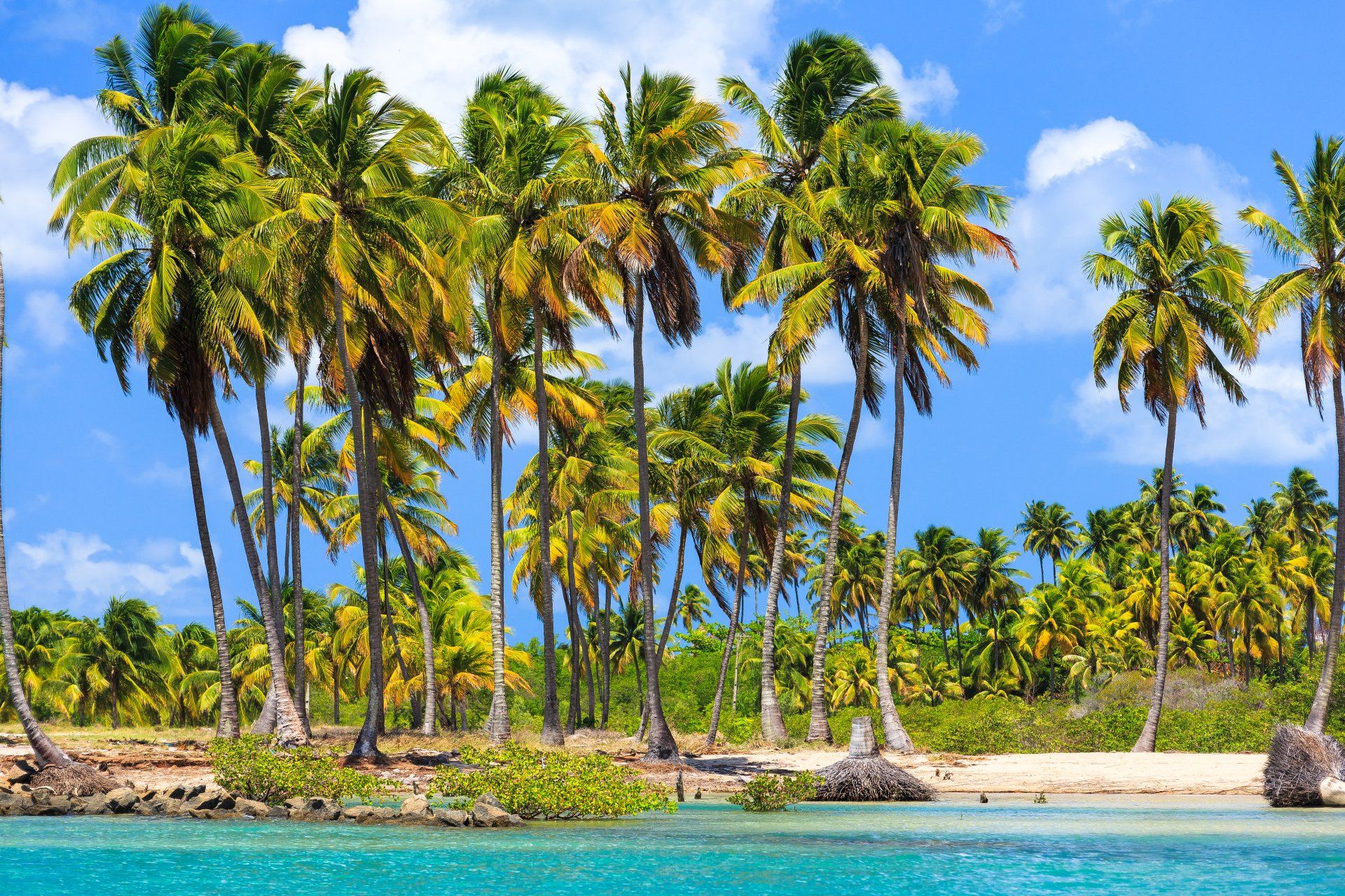 Uma ilha tropical com palmeiras e uma praia