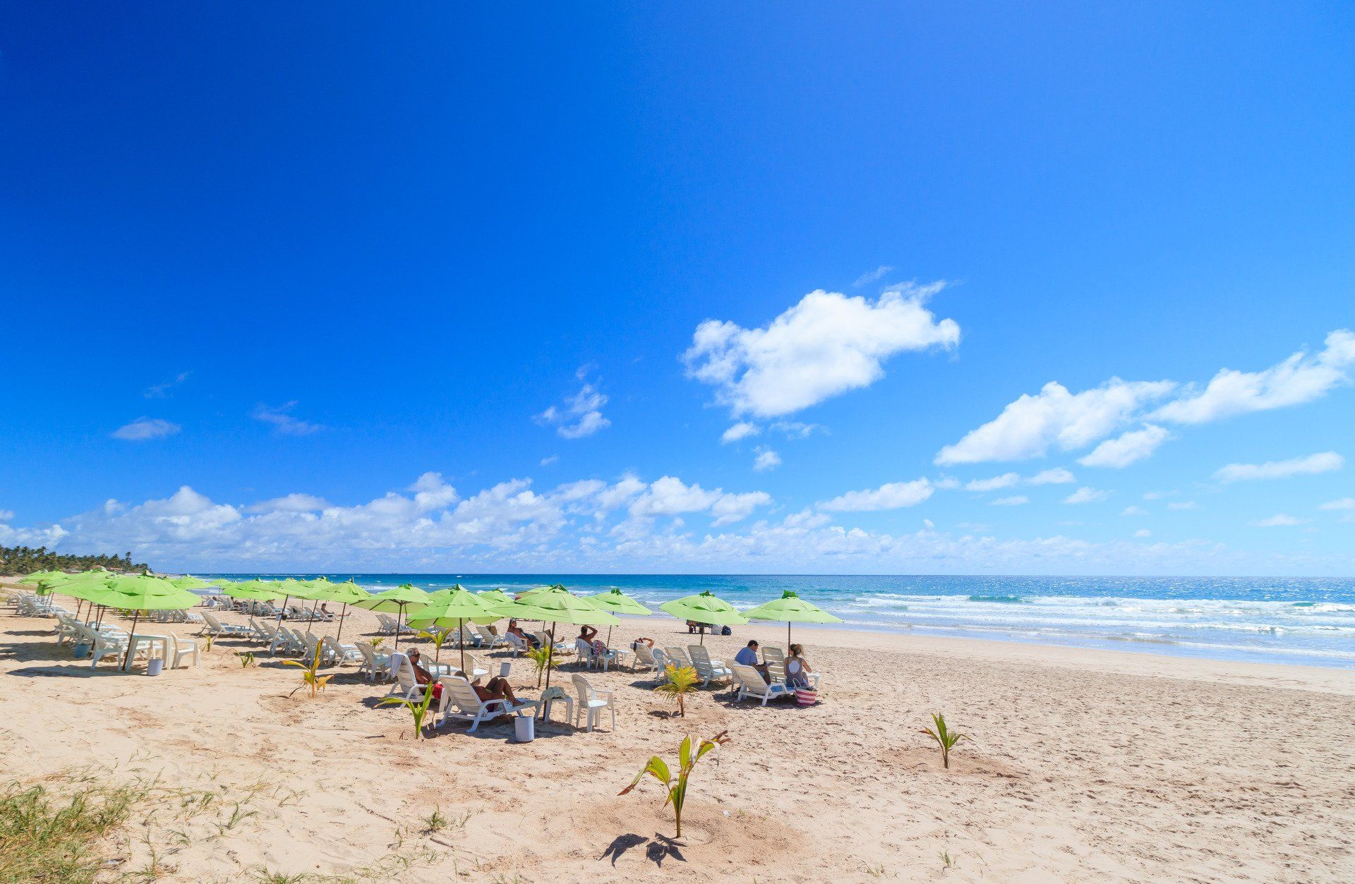 Uma praia com mesas, cadeiras e guarda-sóis em um dia ensolarado.