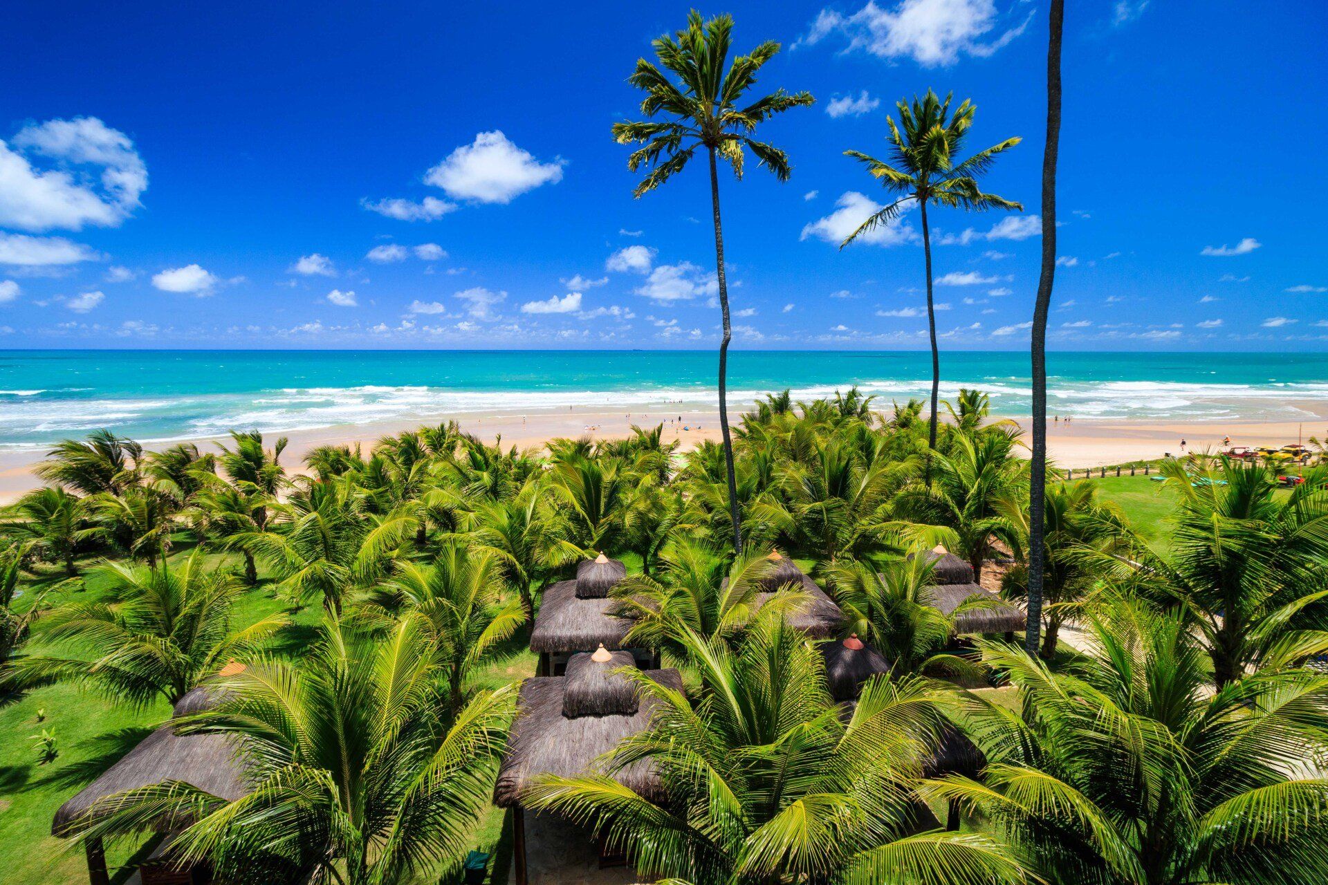 Uma vista aérea de uma praia tropical com palmeiras e cabanas de palha.