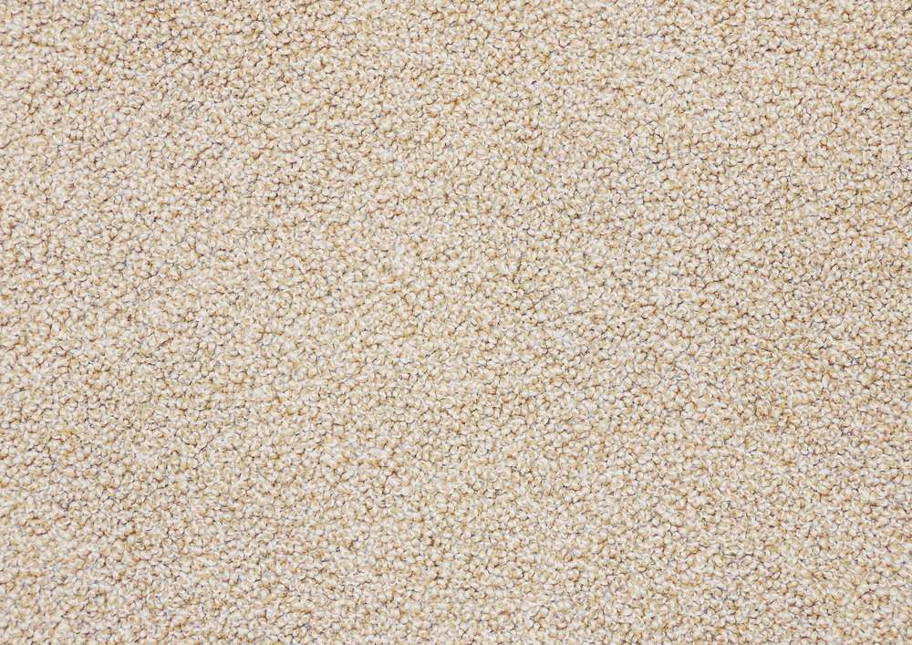 Close-up of a light beige loop pile carpet texture available at Gava Floor Centre, a trusted flooring store for carpet in Ballina