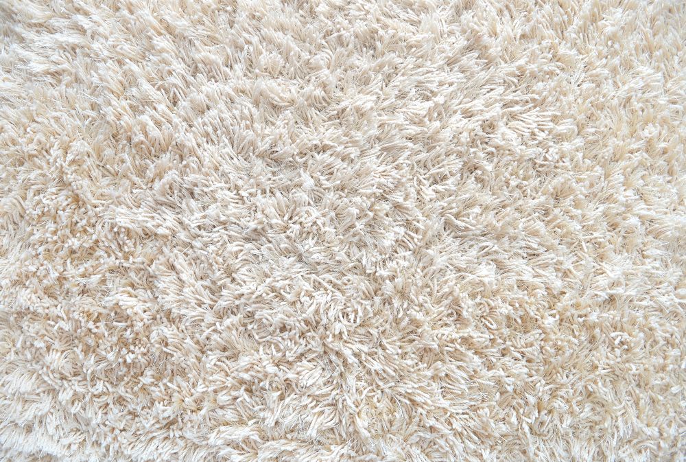 Close-up of a Beige Shaggy Carpet in Ballina