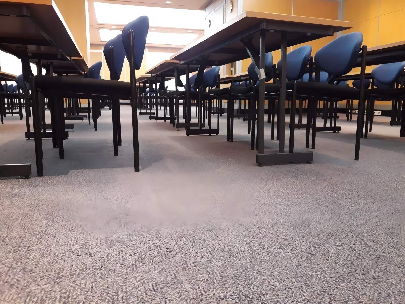 Rows of Desks with Blue Chairs in A Classroom on Light Grey Carpet — Gava Floor Centre In Goonellabah, NSW