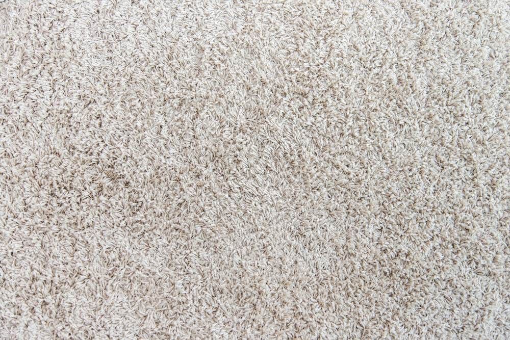Close-up of a light beige shaggy carpet texture from Gava Floor Centre, your local carpet specialists in Ballina NSW