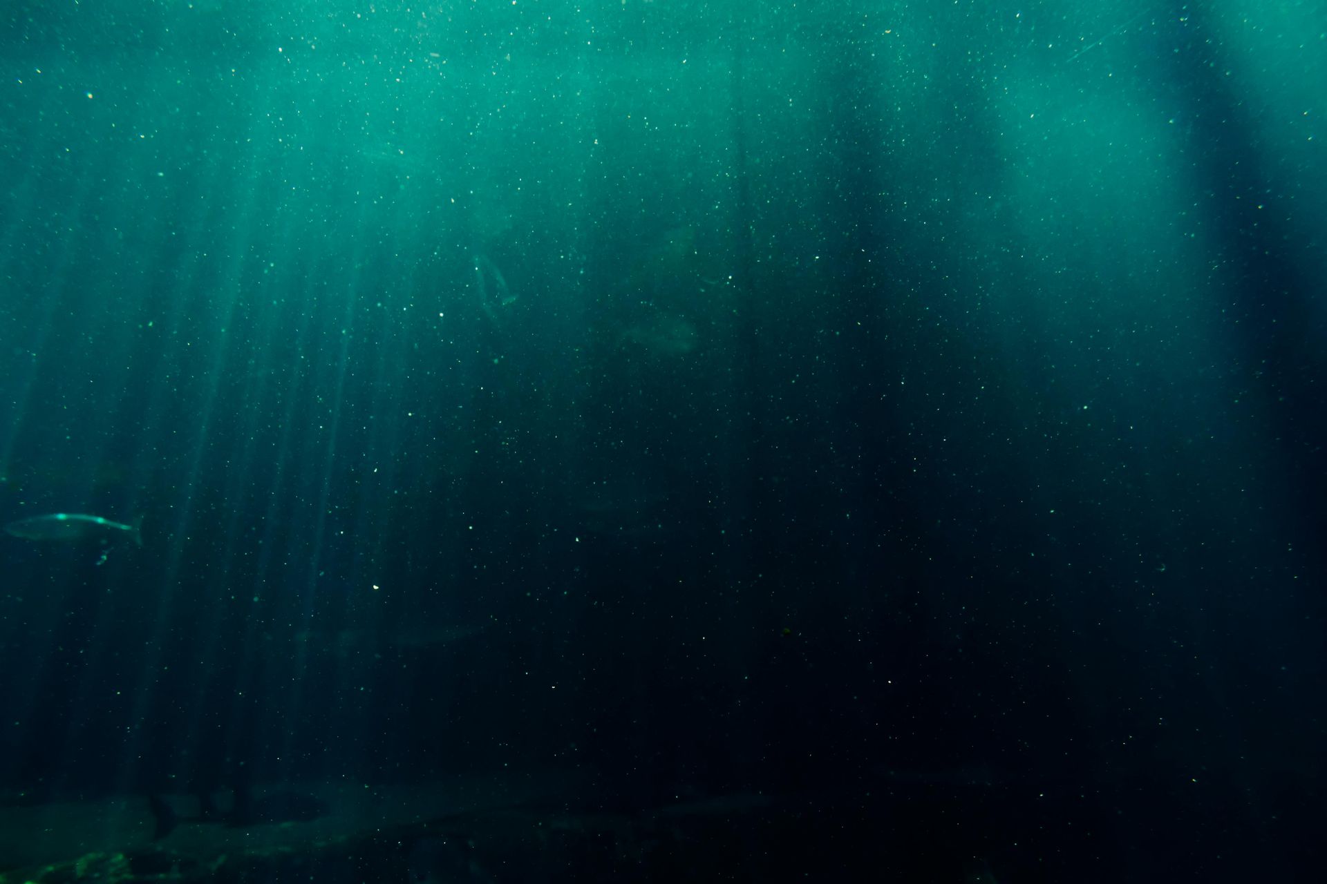 Sunlight streams through deep teal water, illuminated with small particles; the dark ocean floor is barely visible.