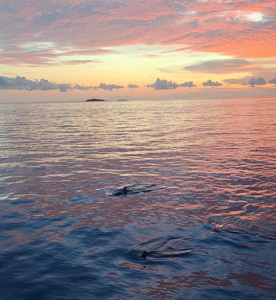 Torres Strait Boat Charter | Malu Ventures