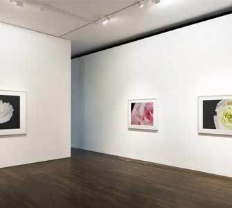 Find out about Art Scanning!