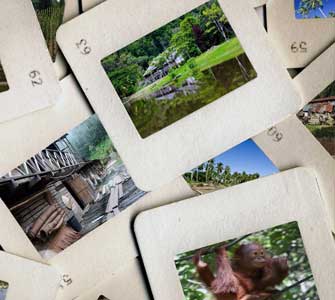 Find out about slide scanning!