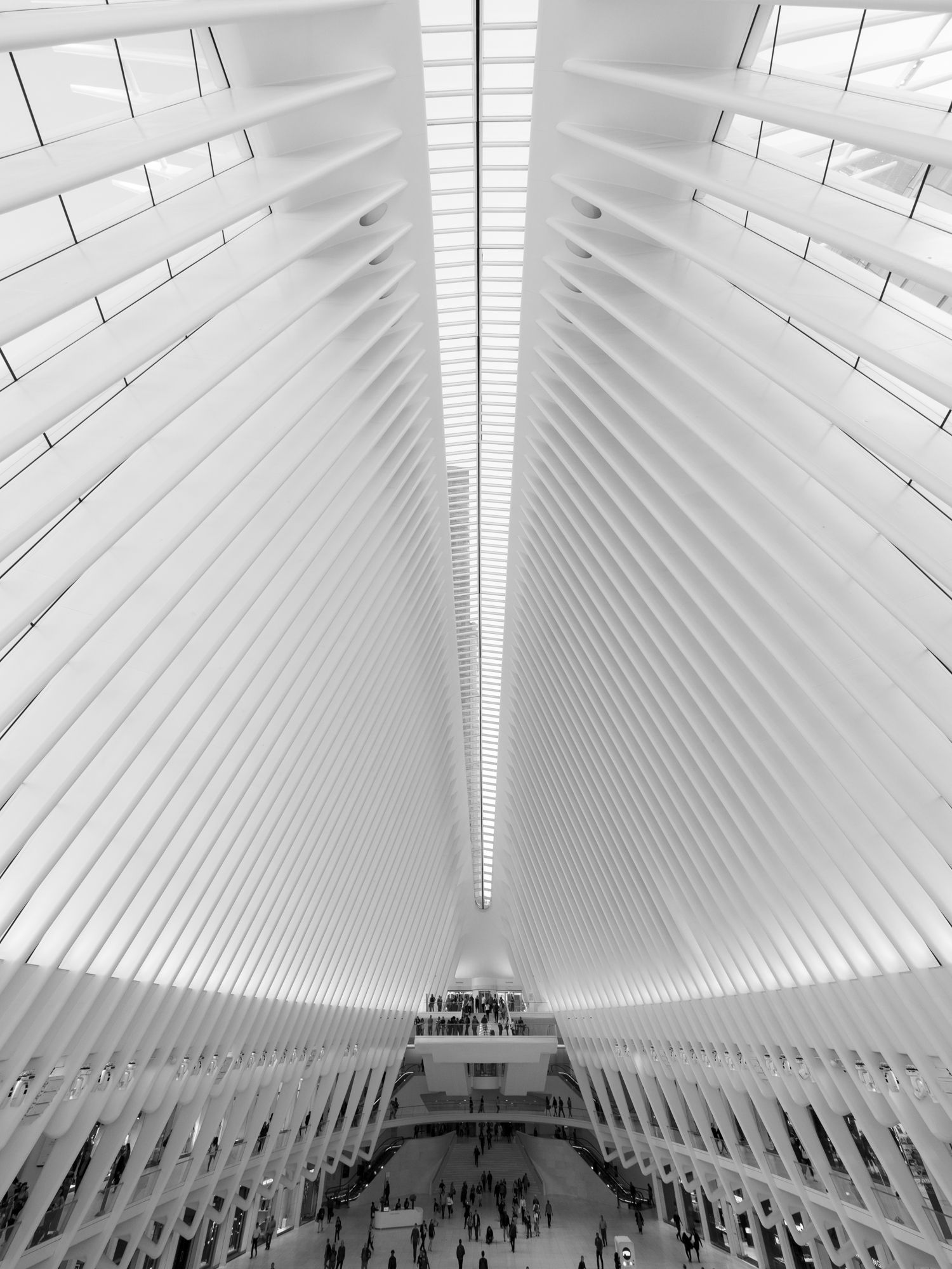The interior of the Oculus in New York City, featuring a high, white, ribbed vaulted ceiling and a bright skylight.