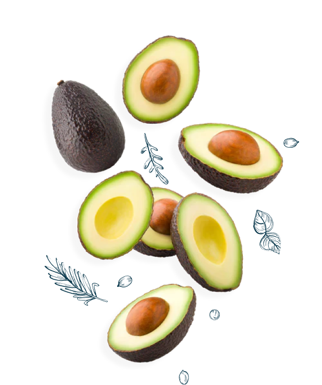 Nuts