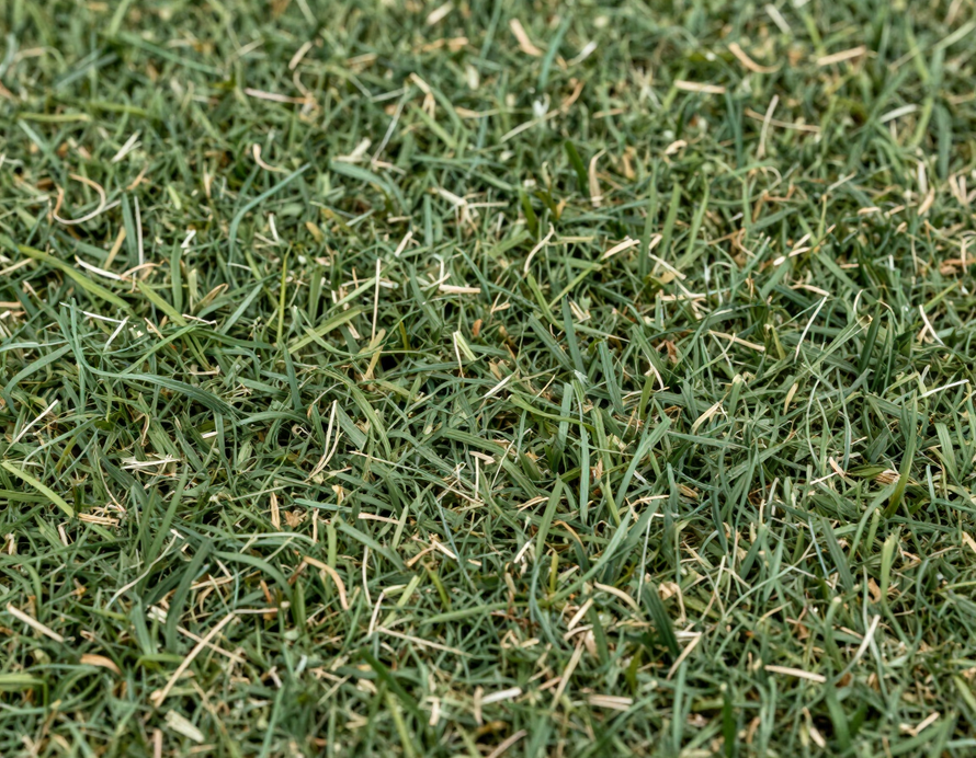 Pasto Fibrilado para pádel