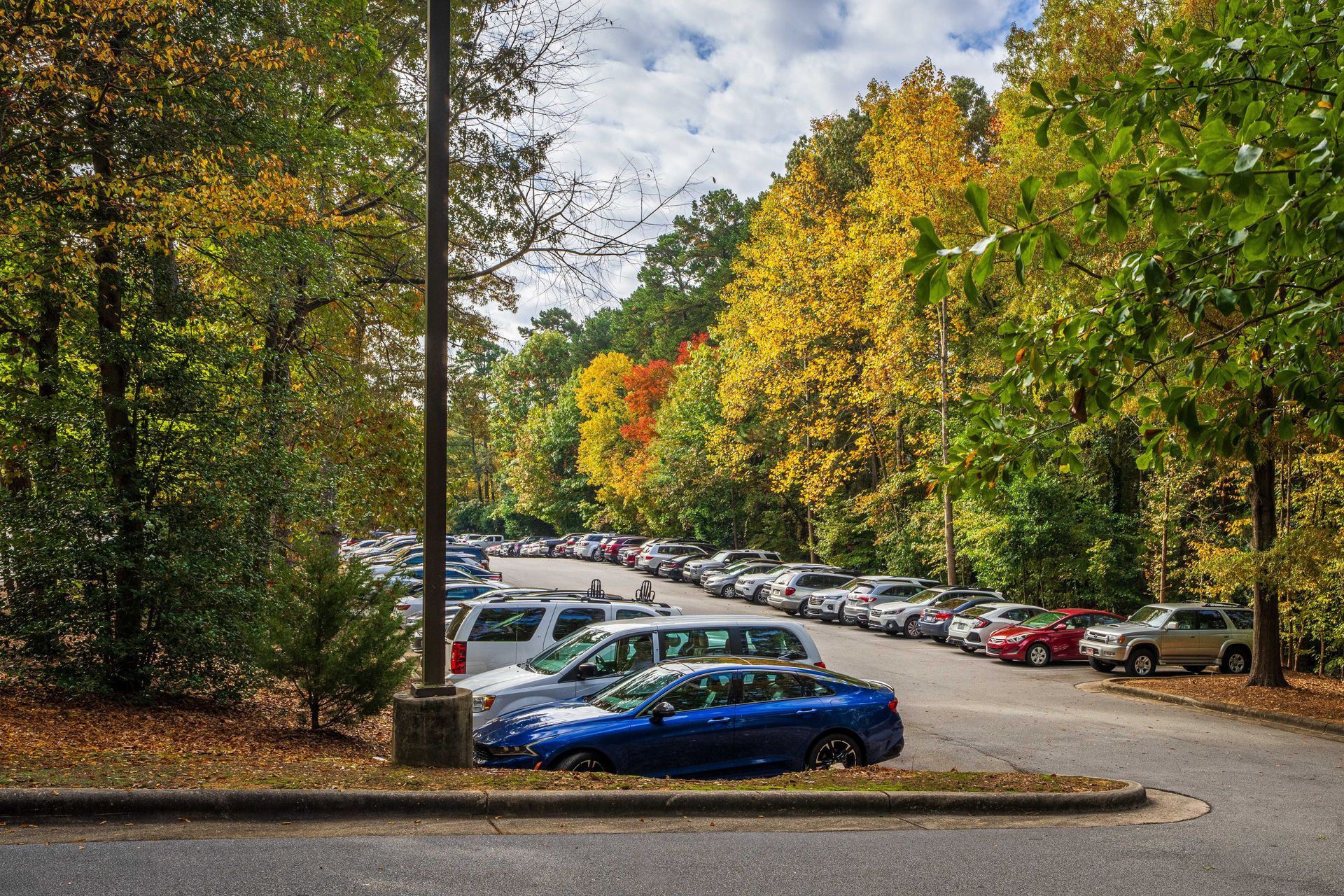 Parking lot lined with colorful autumn trees and parked cars, with a blue car in the foreground