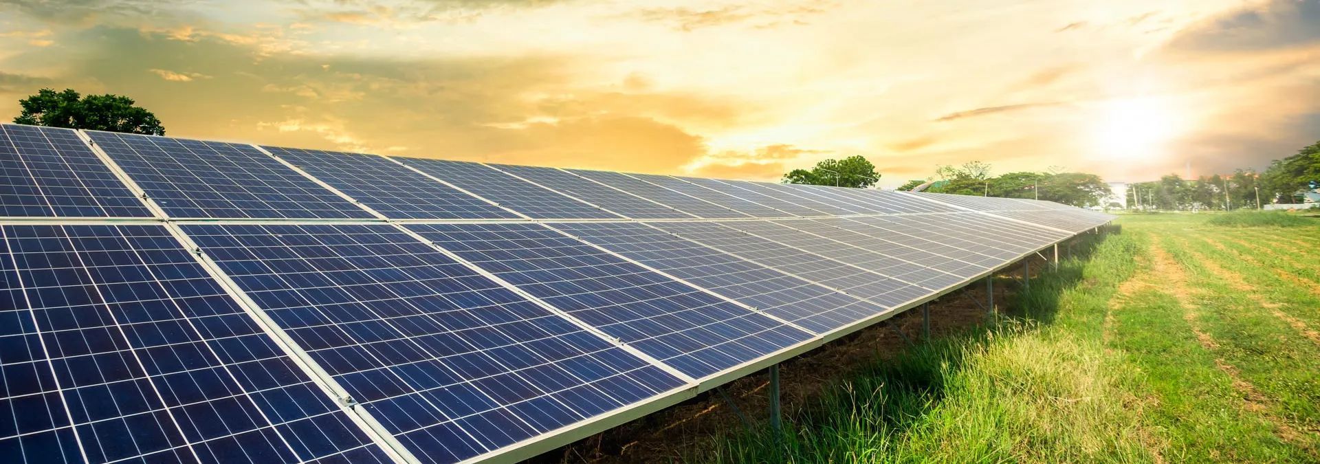 Solar panels in a sunny field at sunset, with green grass and warm sky