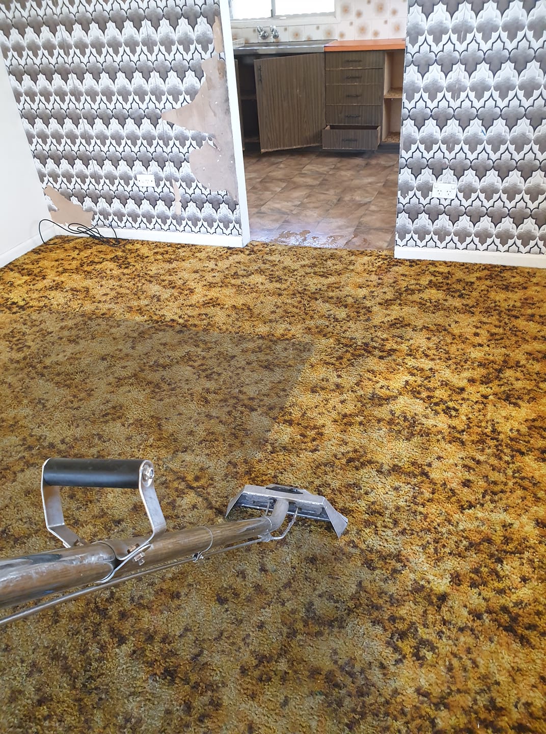 Carpet Steam Cleaning Rockhampton Magic Mist Carpet Cleaning