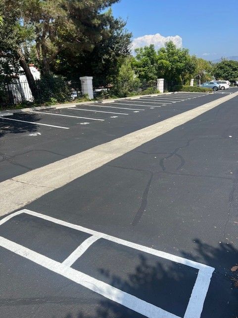 Empty parking lot with white lines, trees along the side, and a sunny sky.