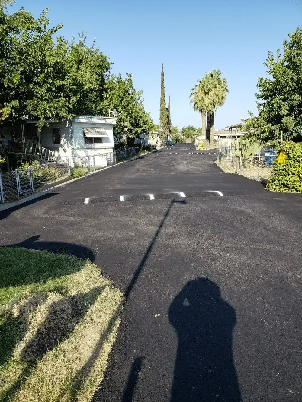 Paved roadway in a leafy residential area, with trees, houses, and a long shadow in the foreground.