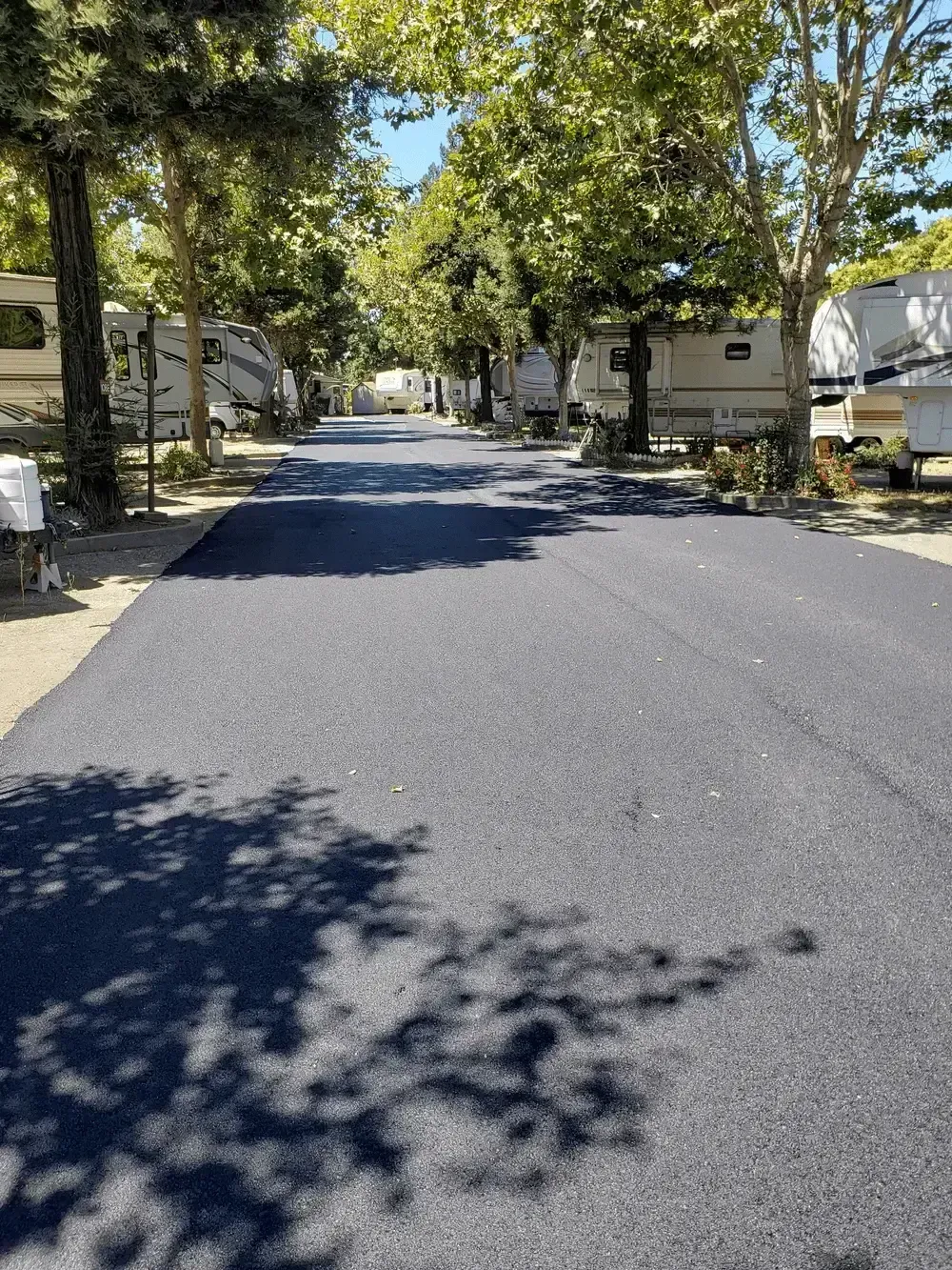 Shaded residential street with trees and parked RVs on both sides