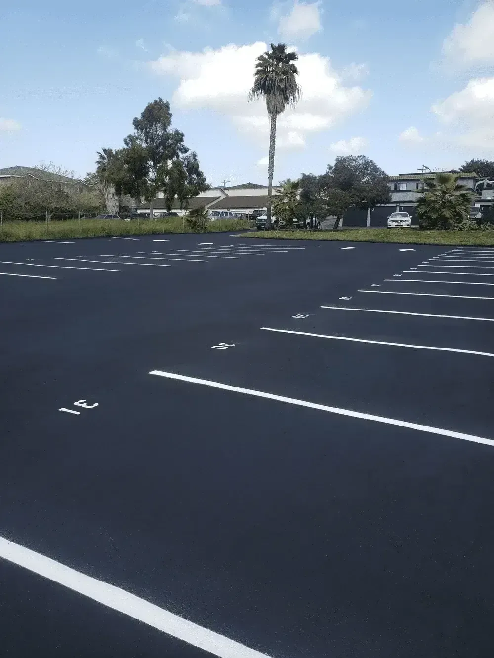 Empty blacktop parking lot with white lines, trees, and houses under a cloudy sky