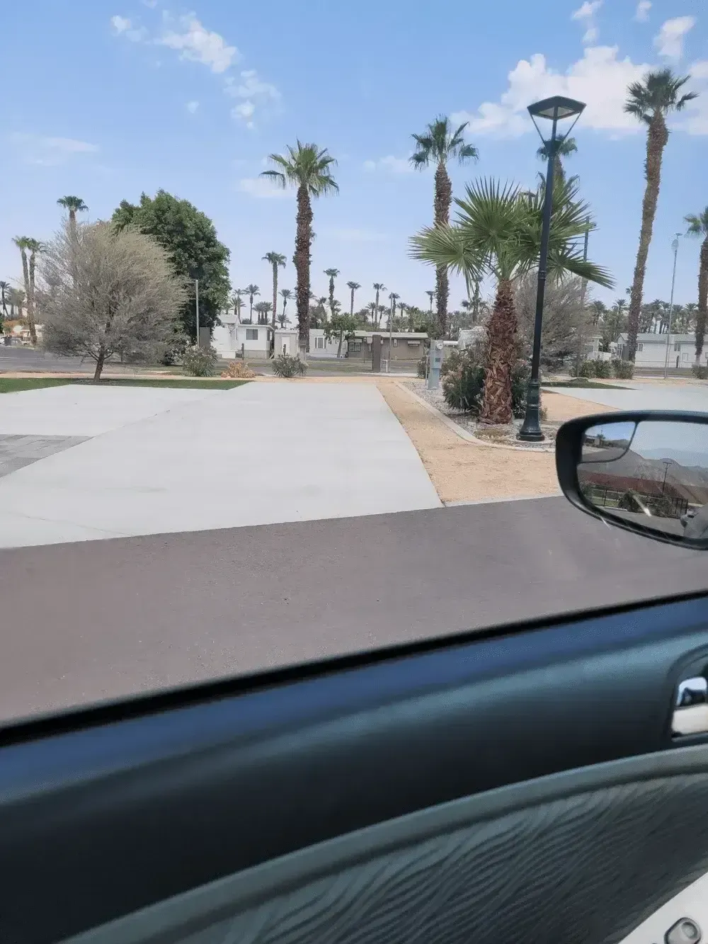 Roadside park with palm trees and a paved walkway, viewed from inside a car