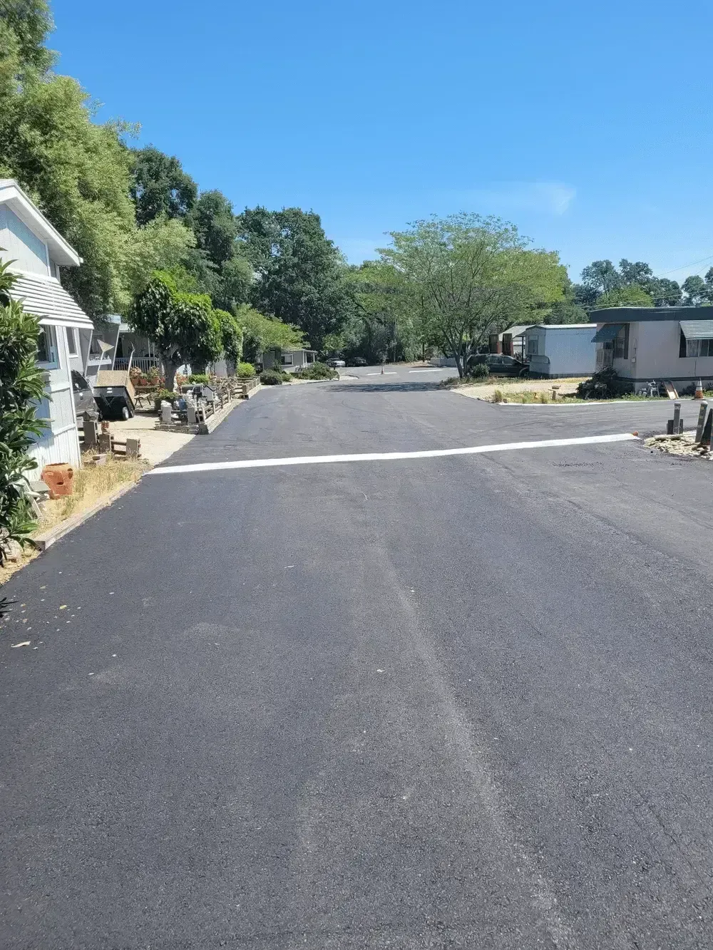 Quiet paved road in a mobile home park with trees, houses, and trailers under a clear blue sky