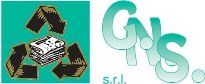 Logo GNS