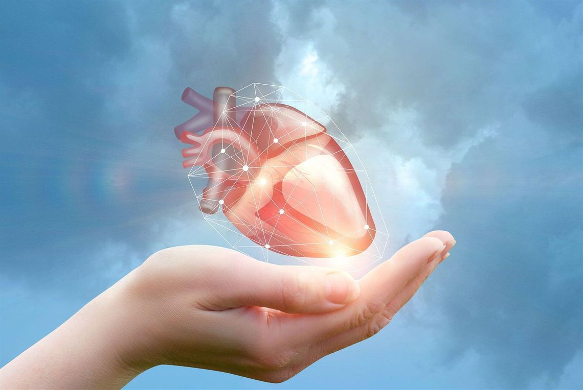 DR. JOSÉ R. AMAVIZCA MARTÍNEZ CLÍNICA CARDIOVASCULAR -Clínica cardiovascular especializada