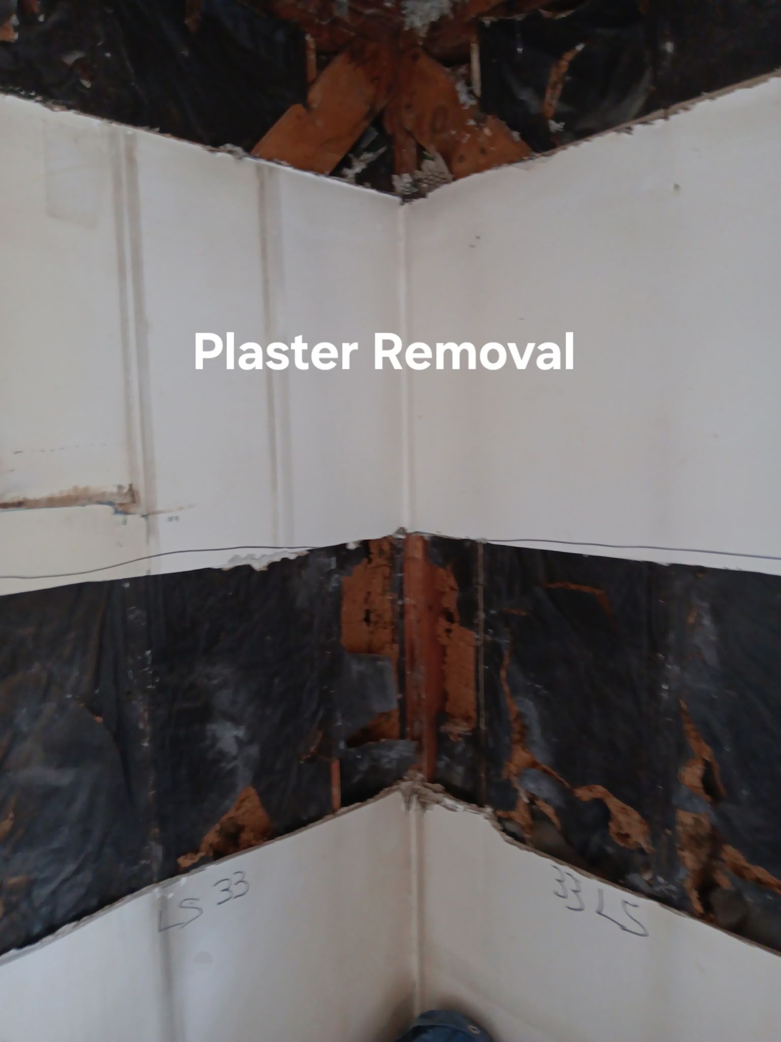 Wall corner with plaster removed, exposing dark backing and brown framing, labeled “Plaster Removal”
