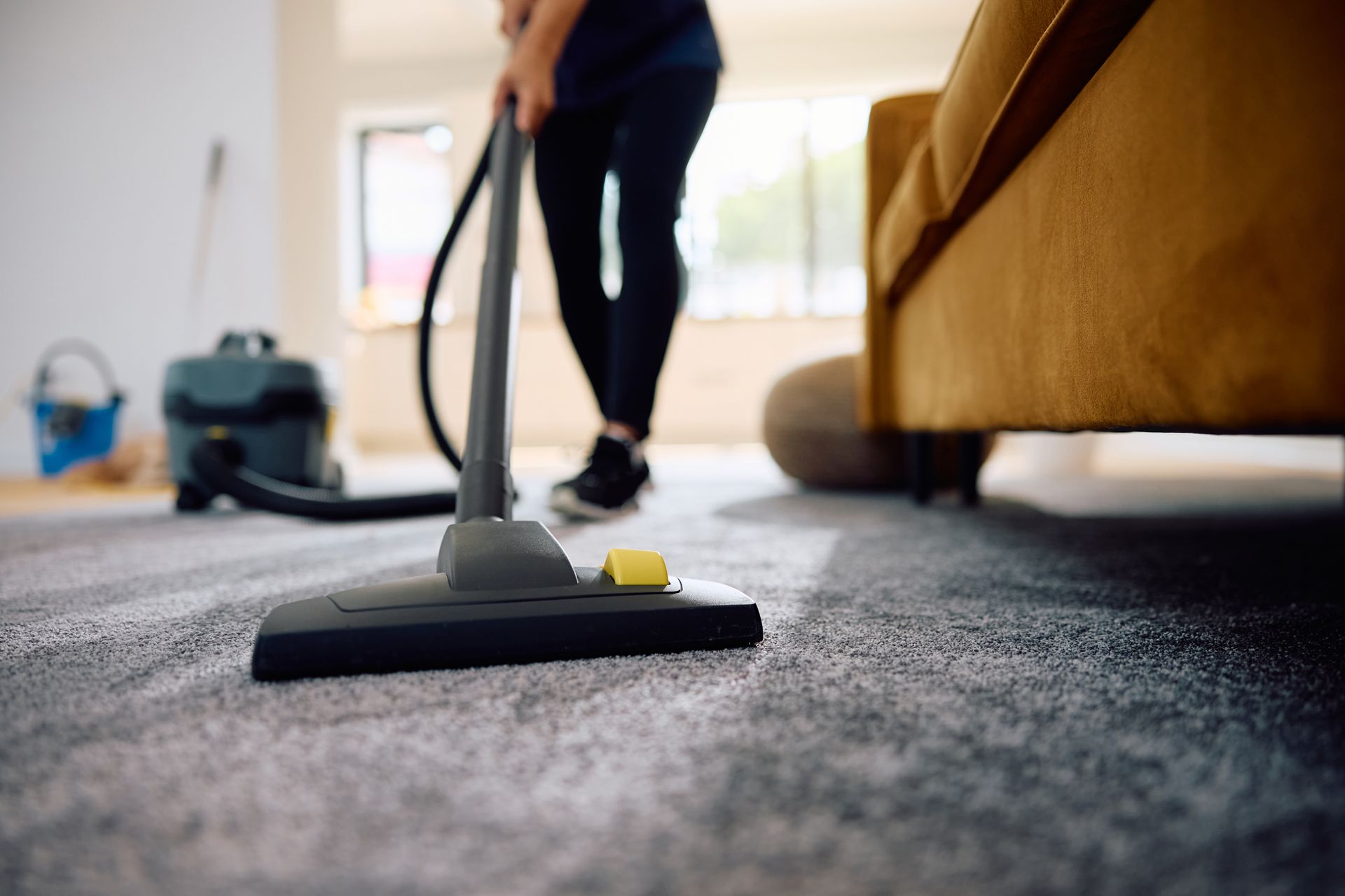 Professional Carpet Cleaning
